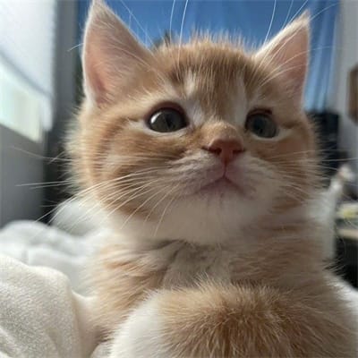 Enrique Gil's avatar